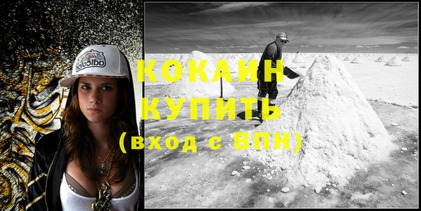 индика Мегион