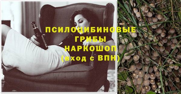 мескалин Михайловск