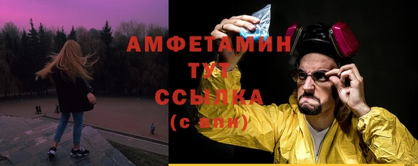 индика Мегион
