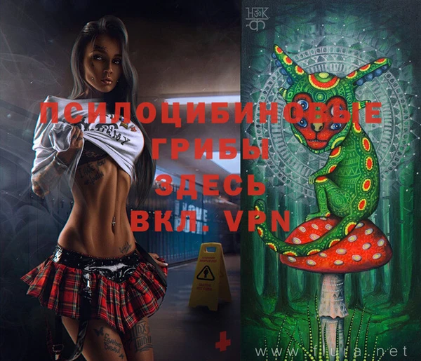 COCAINE Медвежьегорск