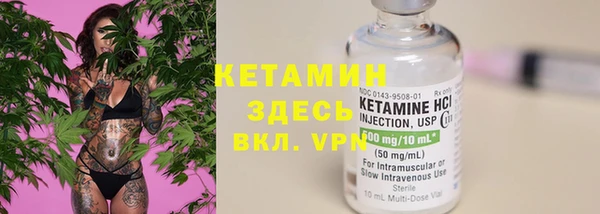 индика Мегион
