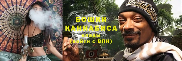 индика Мегион