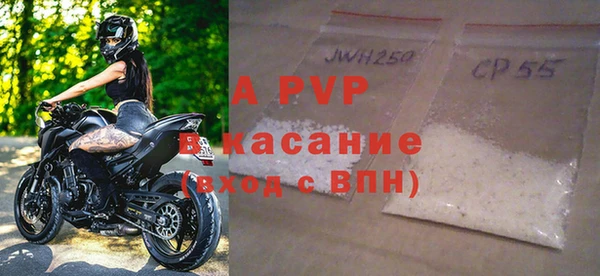 индика Мегион
