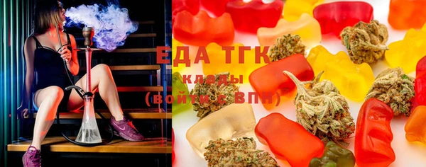 индика Мегион