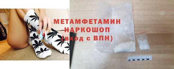 индика Мегион
